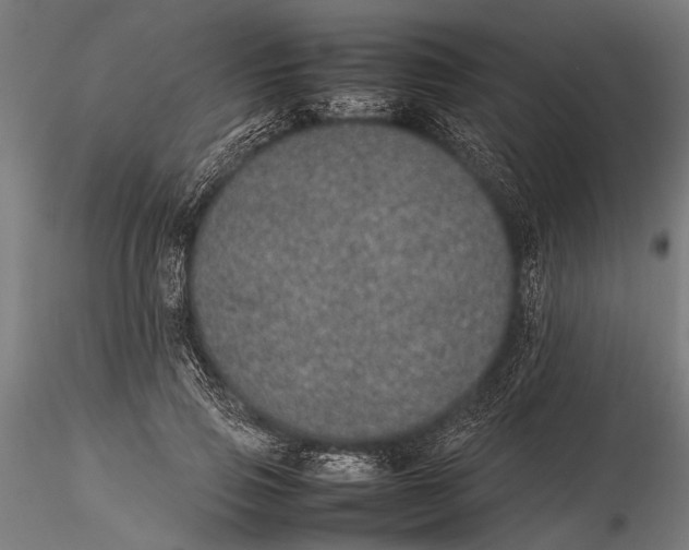 X0000116100741200912140956