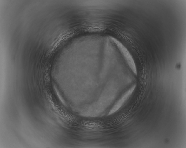 X0000116100743200912140956