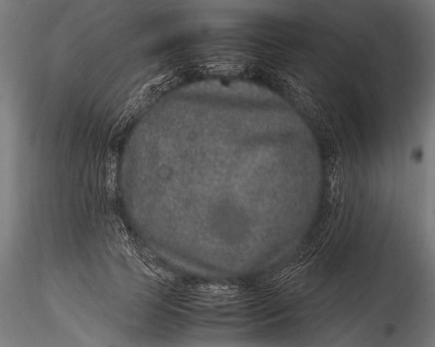 X0000116100745200912140956