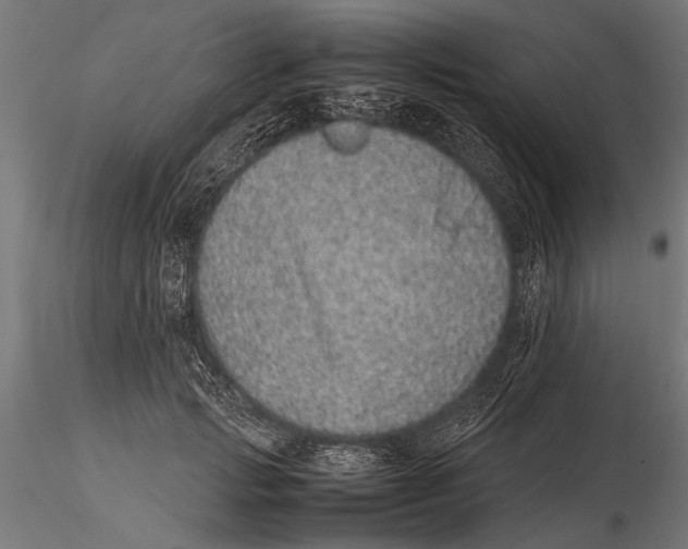 X0000116100749200912140957