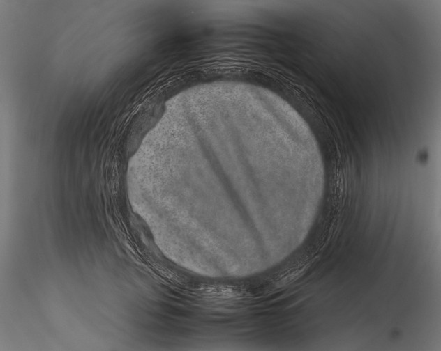 X0000116100751200912140957