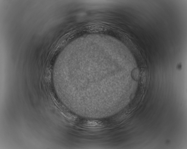 X0000116100753200912140957