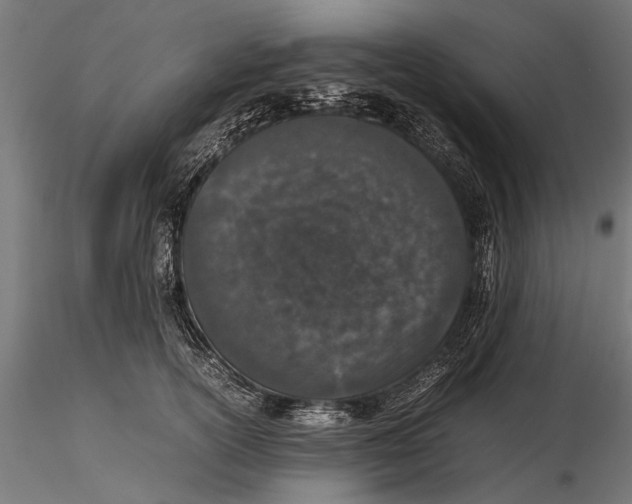 X0000116100754200912140957