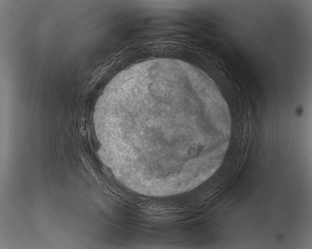 X0000116100755200912140957