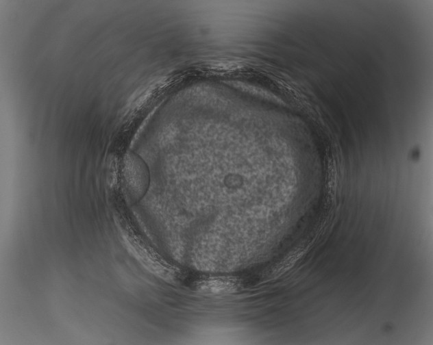 X0000116100758200912140957