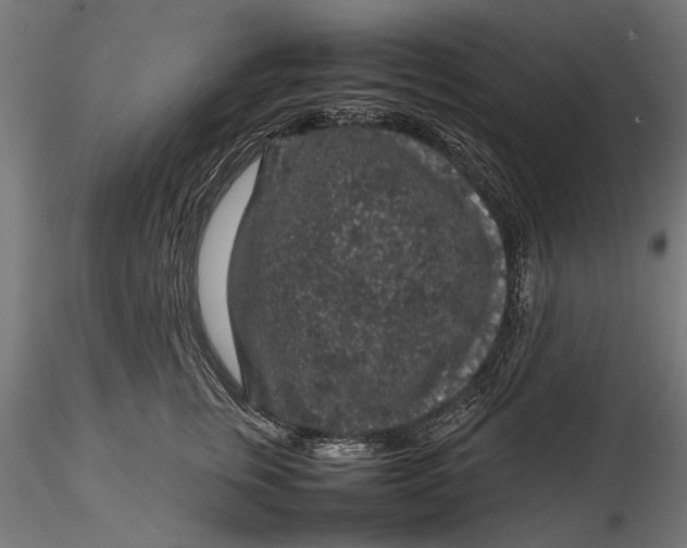 X0000116100759200912140957