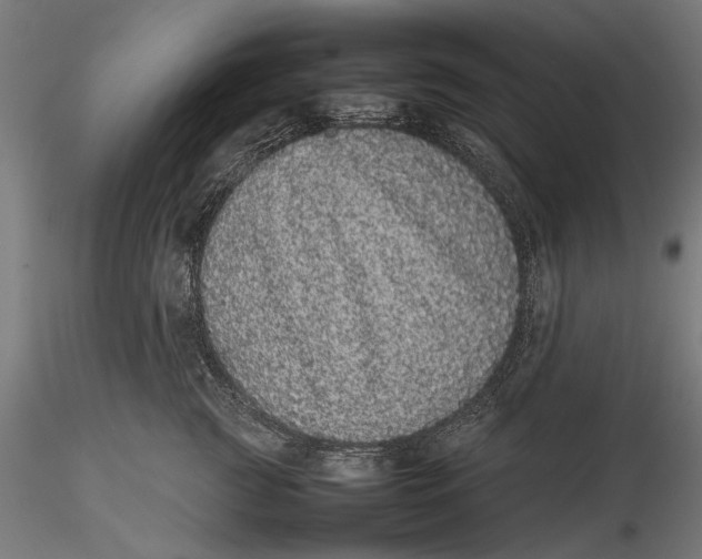 X0000116100761200912140957