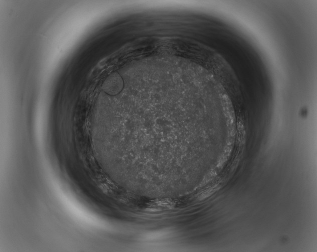 X0000116100765200912140957