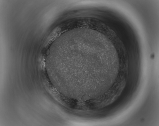 X0000116100766200912140957