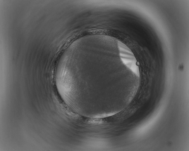 X0000116100767200912140957