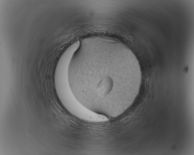 X0000116100769200912140956