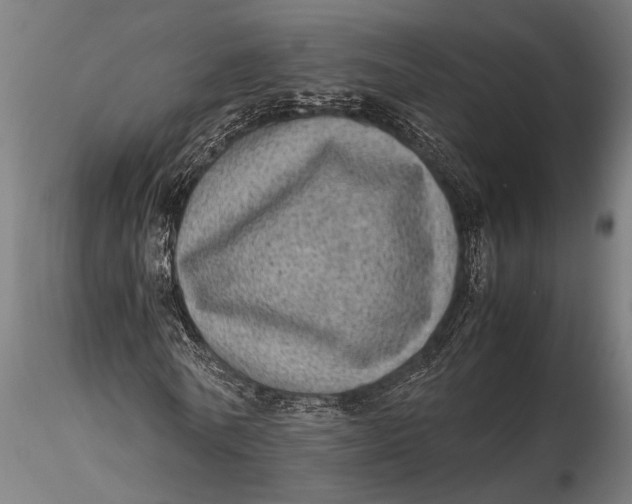 X0000116100770200912140956