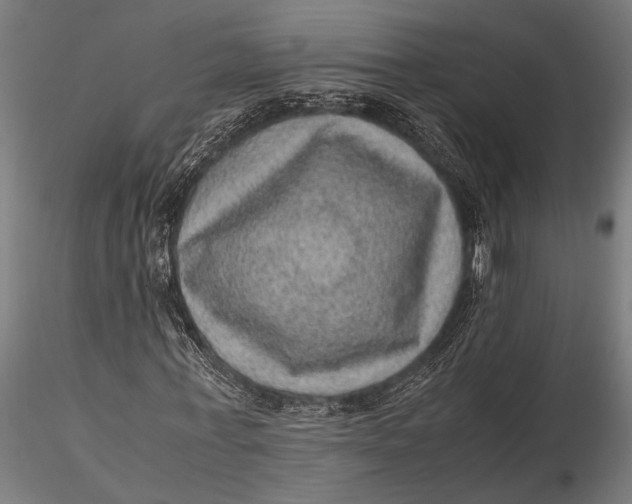 X0000116100771200912140956