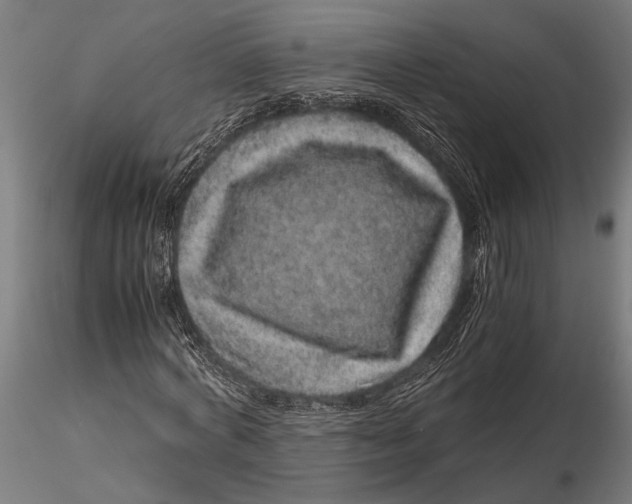 X0000116100772200912140956