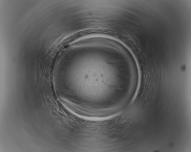 X0000116100773200912140956