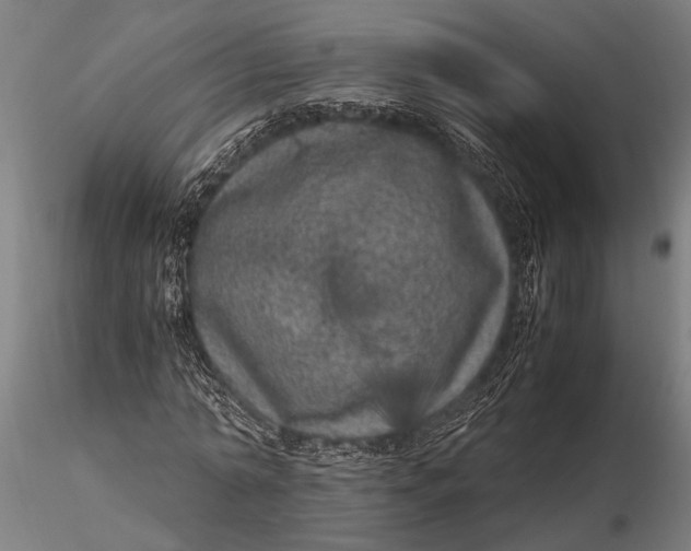 X0000116100774200912140956