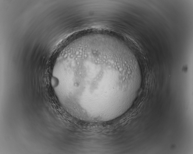 X0000116100776200912140956