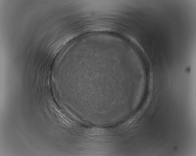 X0000116100777200912140956