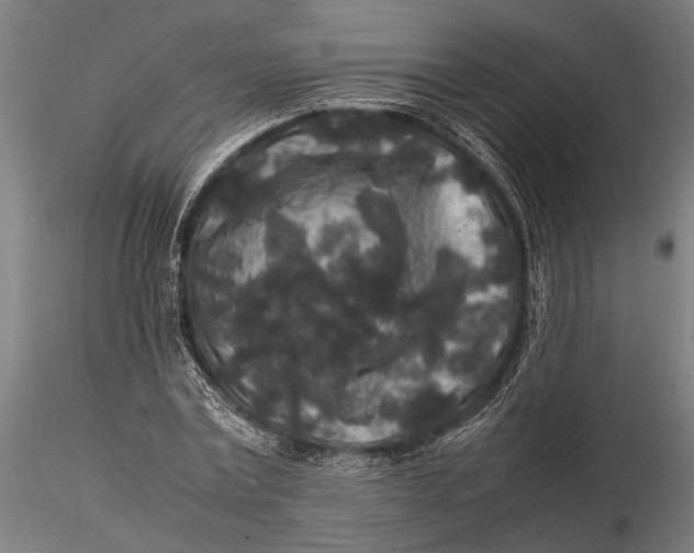 X0000116100779200912140956