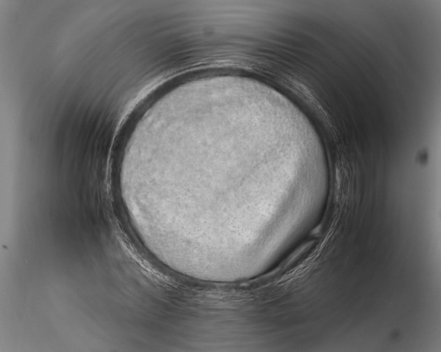 X0000116100780200912140956