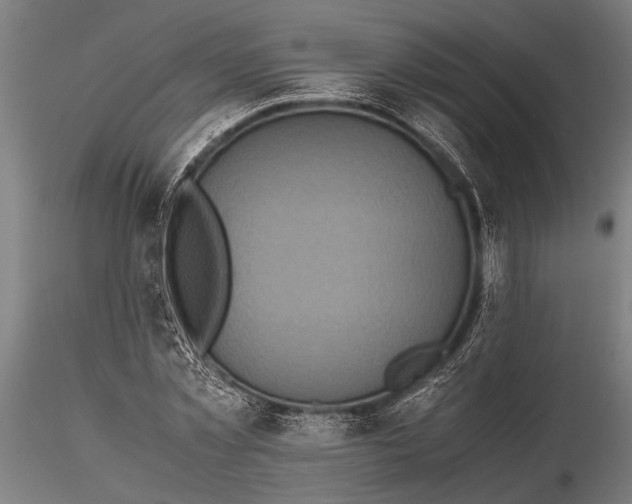 X0000116100781200912140956