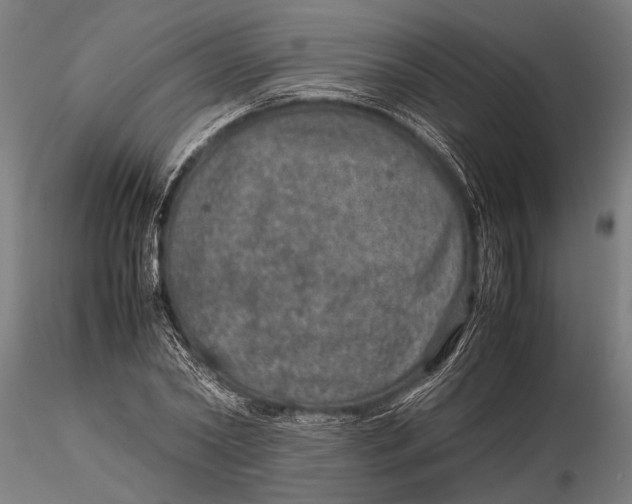 X0000116100782200912140956