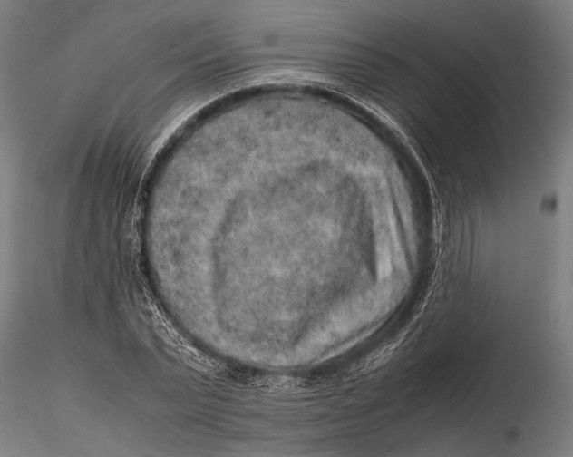 X0000116100783200912140956