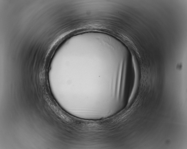 X0000116100784200912140956