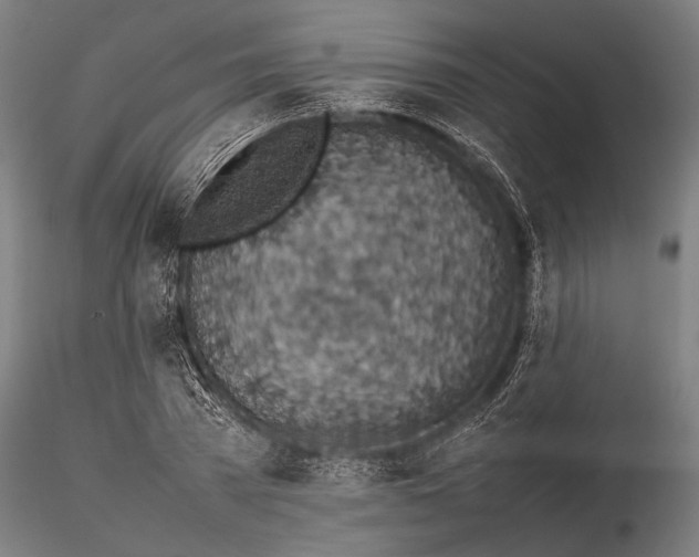 X0000116100785200912140956