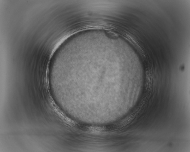 X0000116100788200912140956