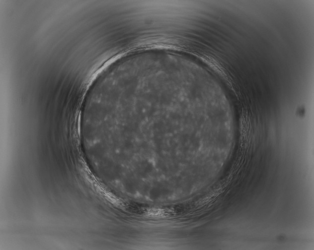 X0000116100790200912140956