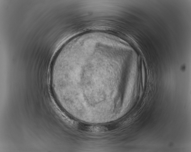 X0000116100795200912140956