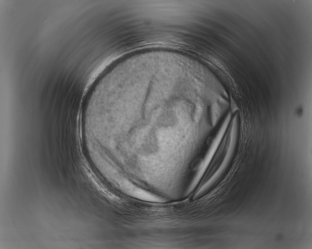 X0000116100796200912140956