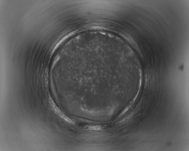 X0000116100798200912140956