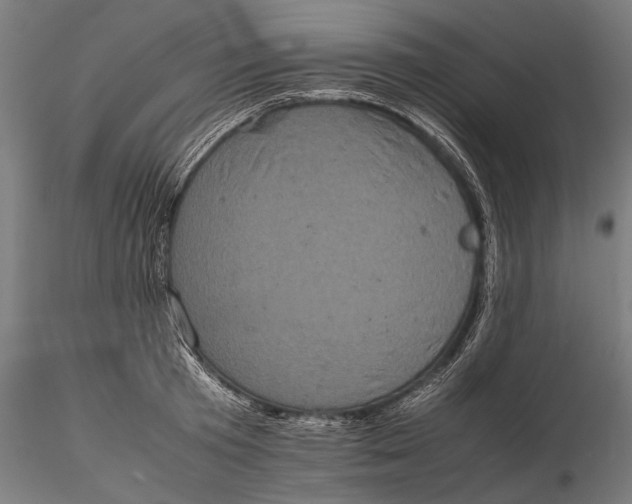 X0000116100801200912140956