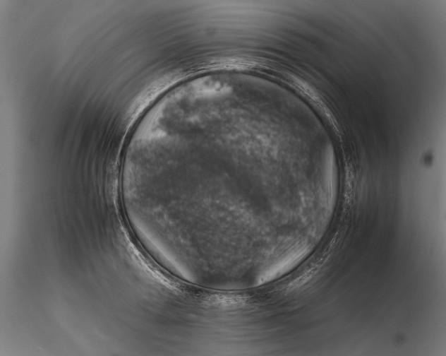 X0000116100802200912140955