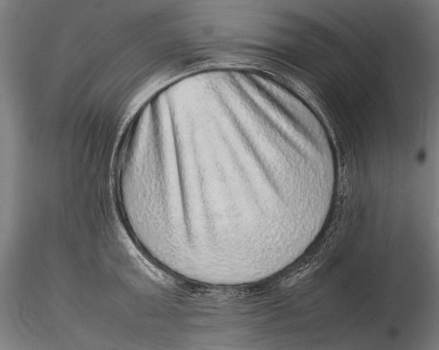 X0000116100803200912140955