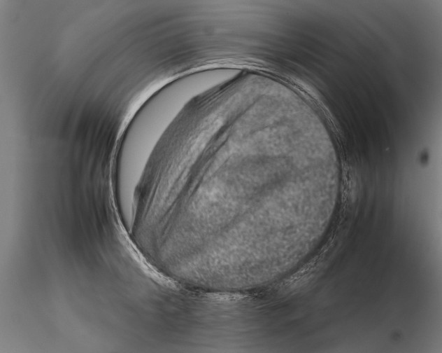 X0000116100804200912140955