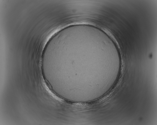 X0000116100805200912140955