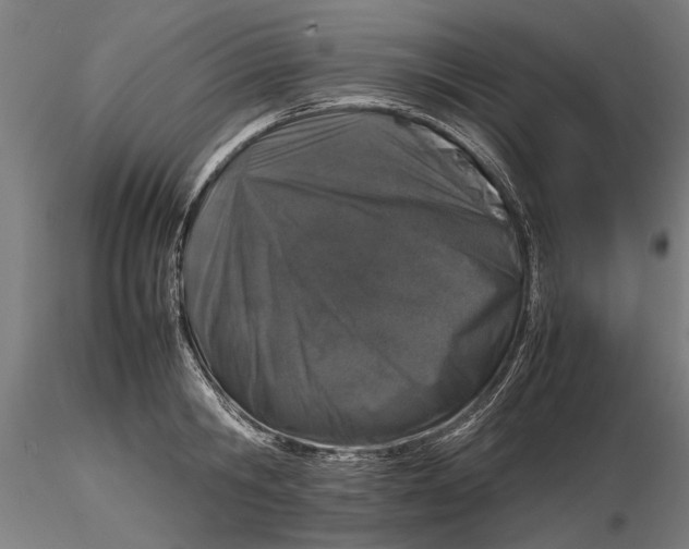 X0000116100806200912140955