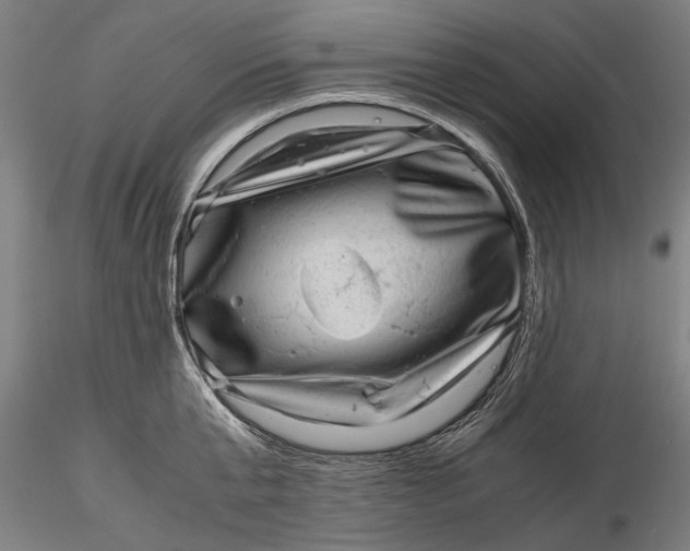 X0000116100807200912140955