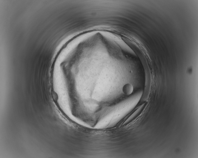 X0000116100808200912140955