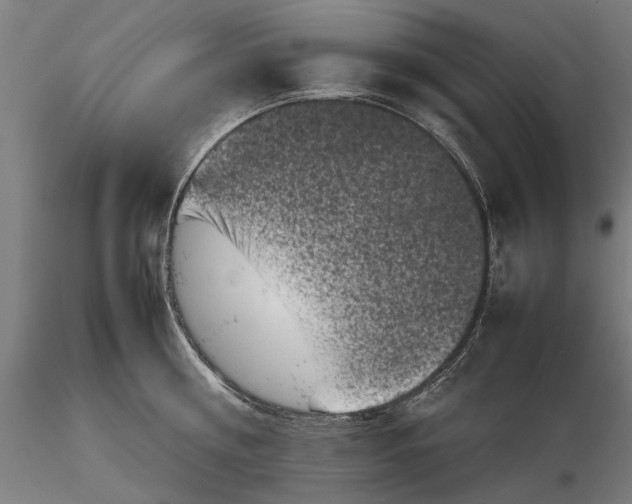 X0000116100810200912140955