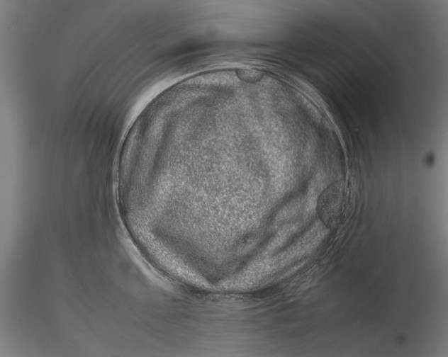 X0000116100811200912140955