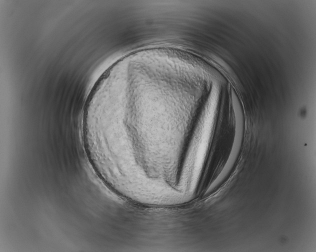 X0000116100812200912140955