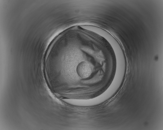 X0000116100813200912140955