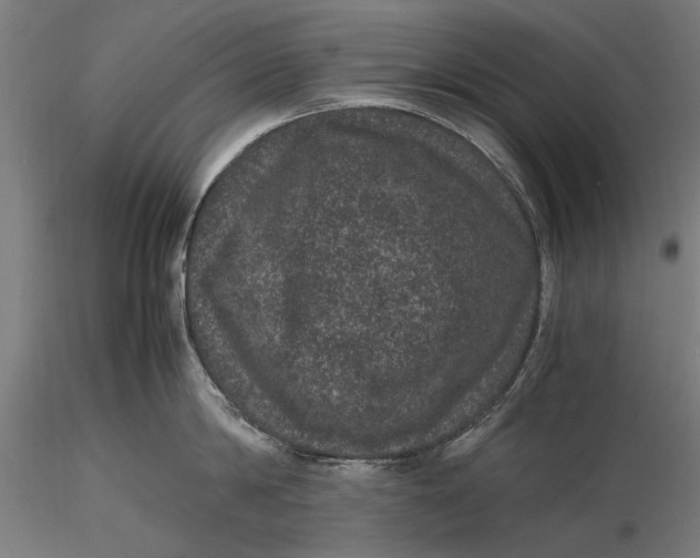 X0000116100814200912140955