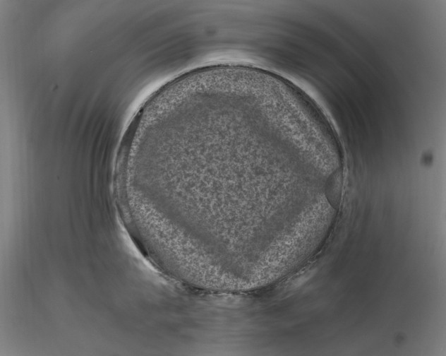 X0000116100815200912140955