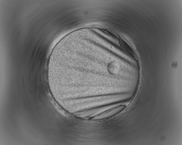 X0000116100816200912140955