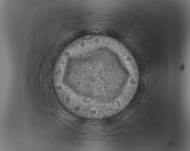 X0000116100817200912140955